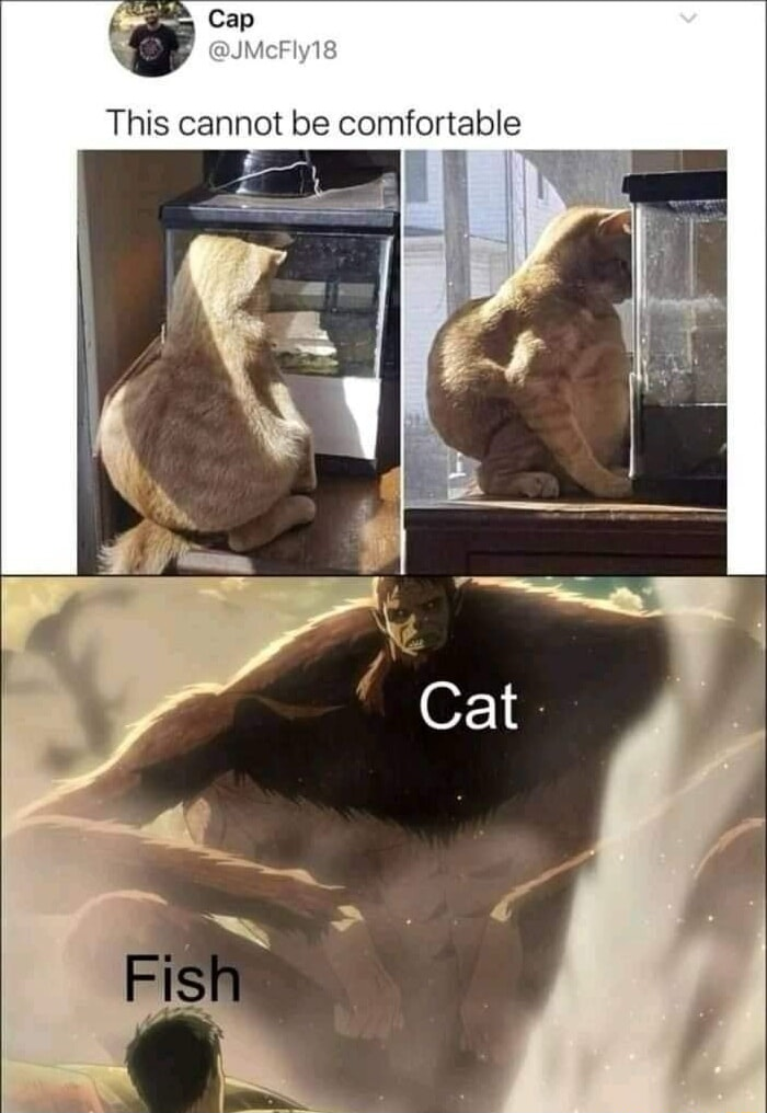 ​​​