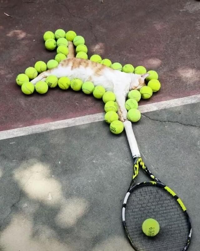 ​​​