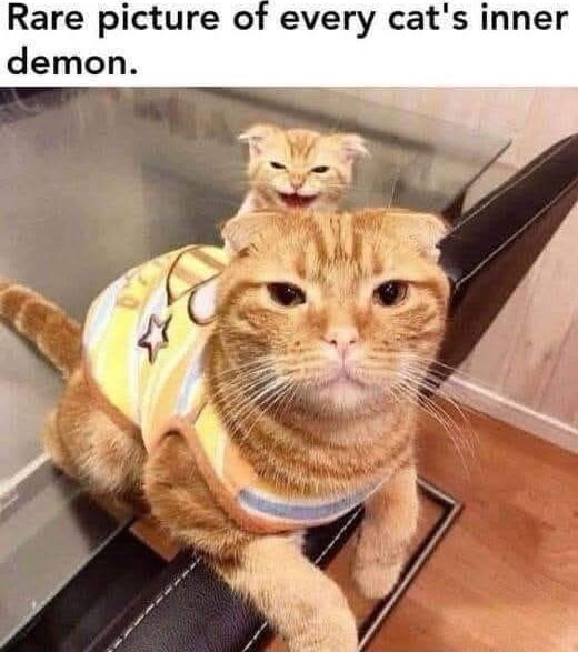 ​​​