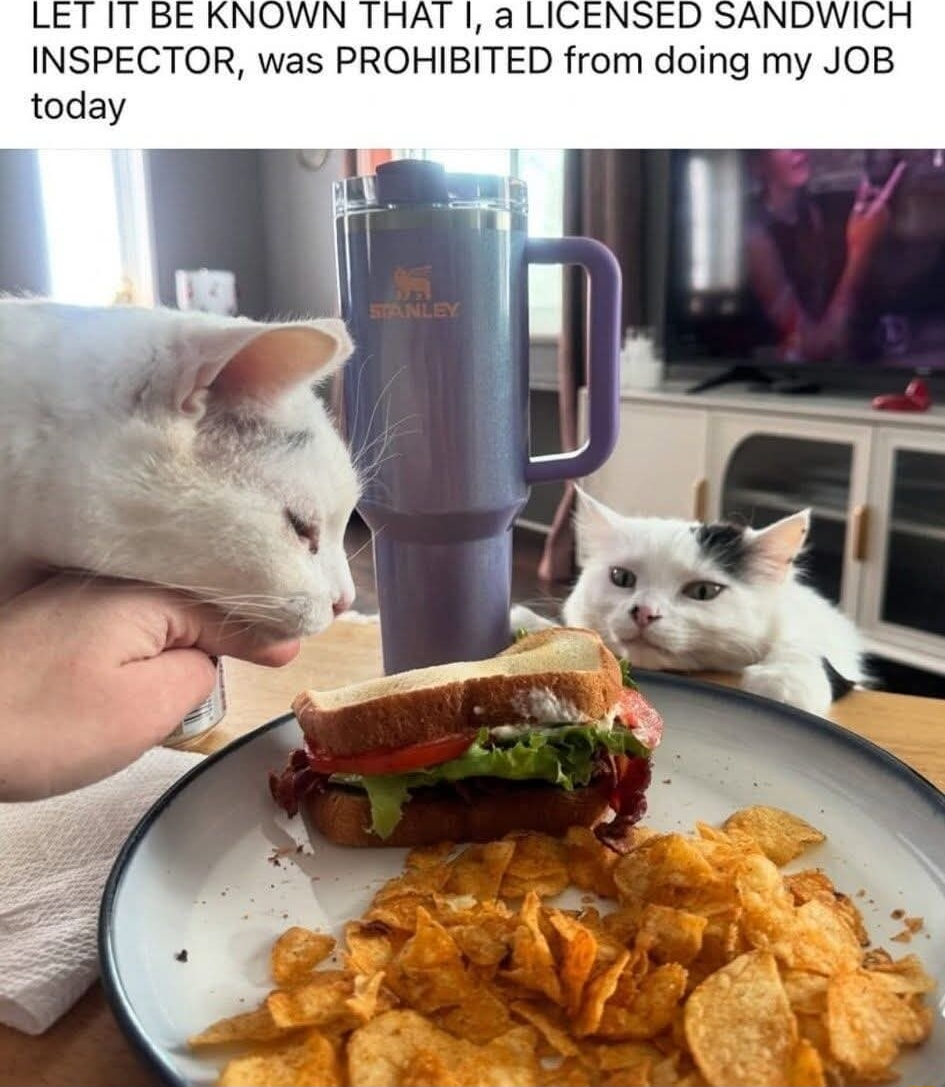 ​​​