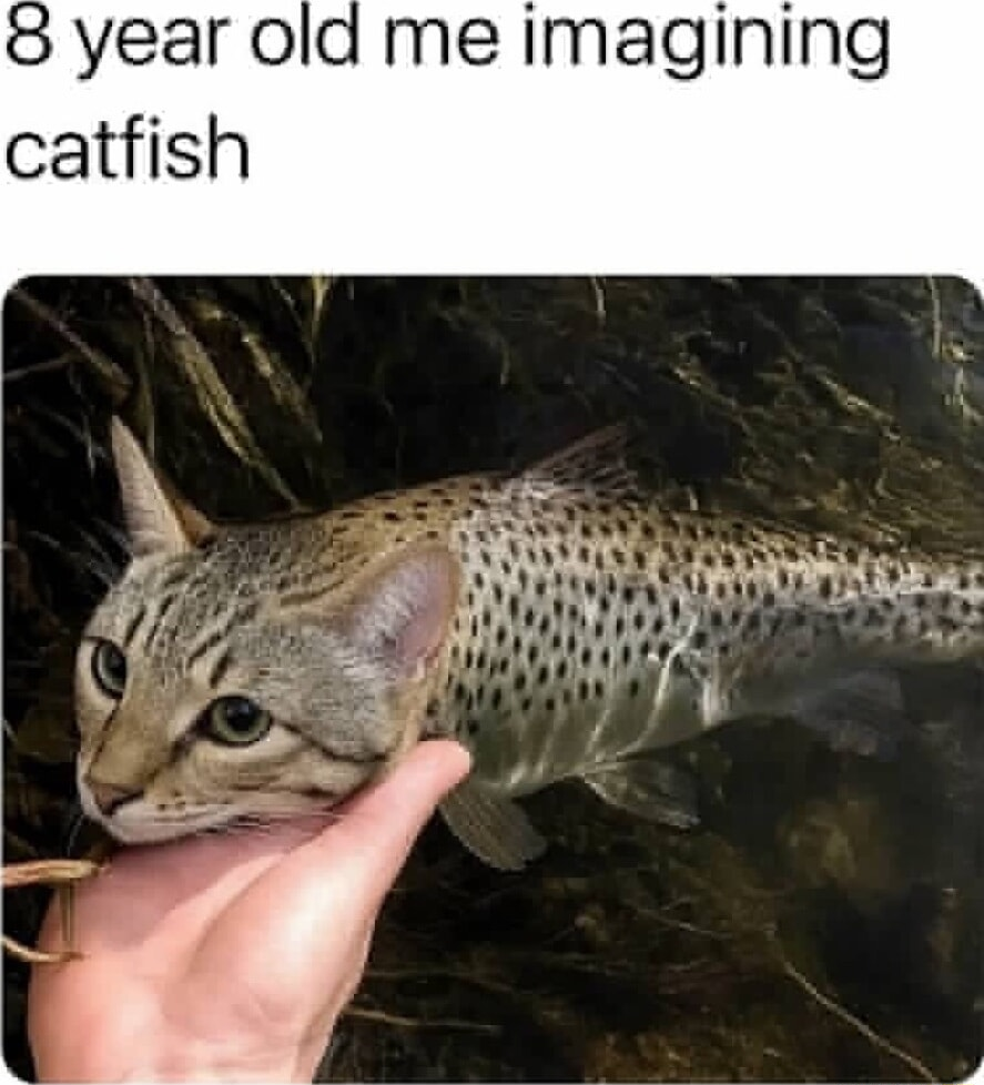 ​​​