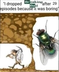 ​​​