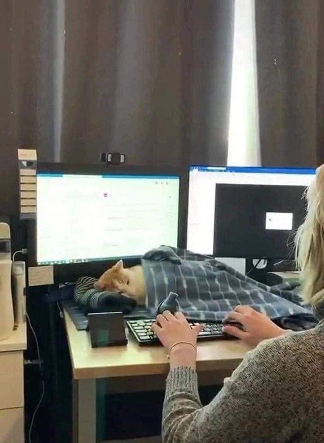 work