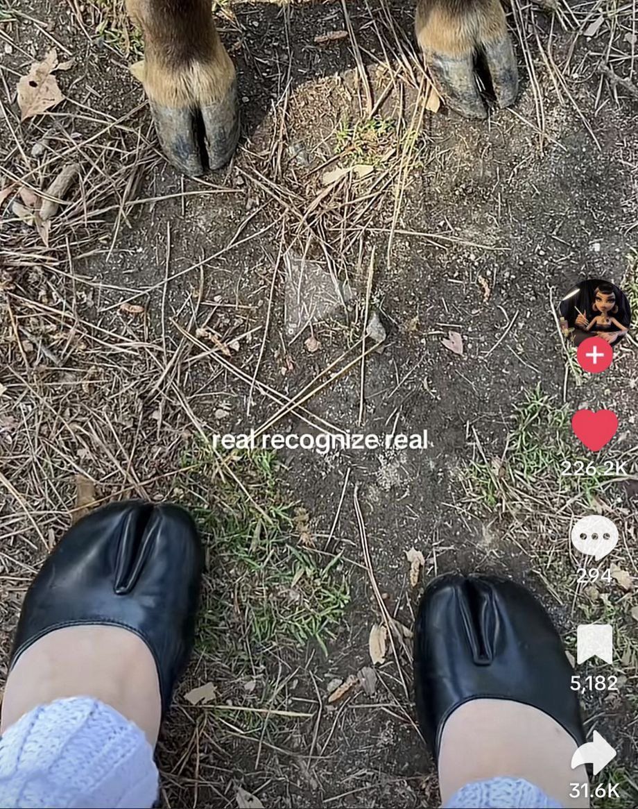 feet