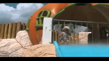 Poopy slide