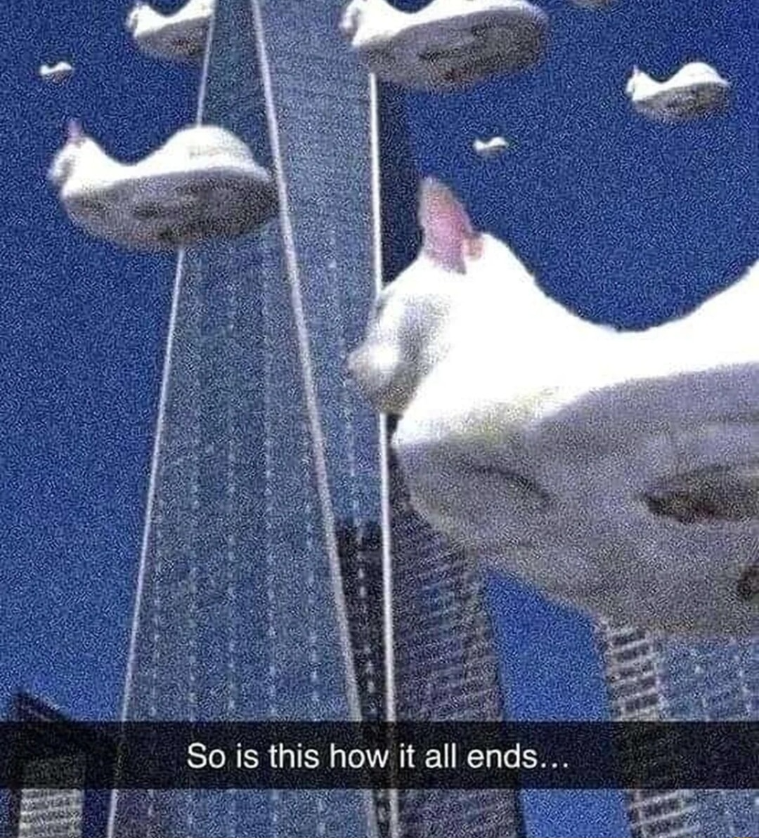 ​​​