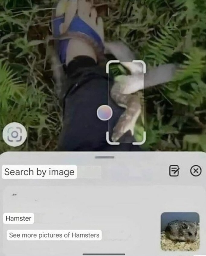 ​​​
