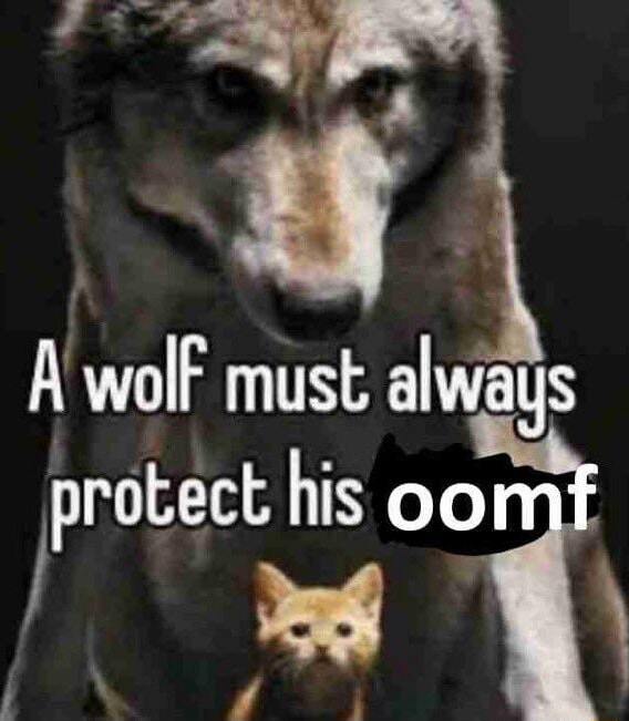 ​​​