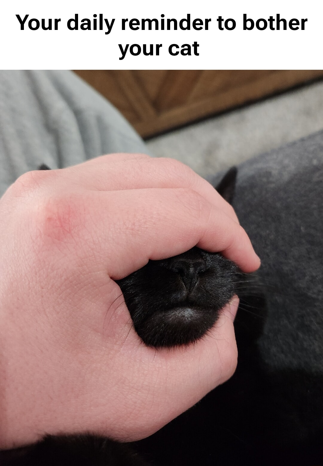 ​​​