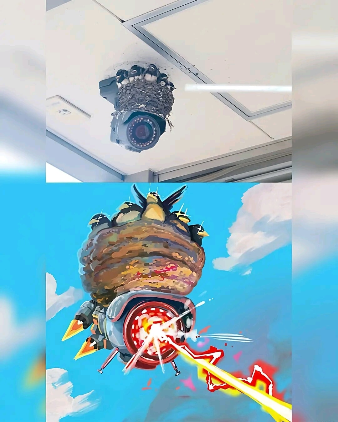 ​​​