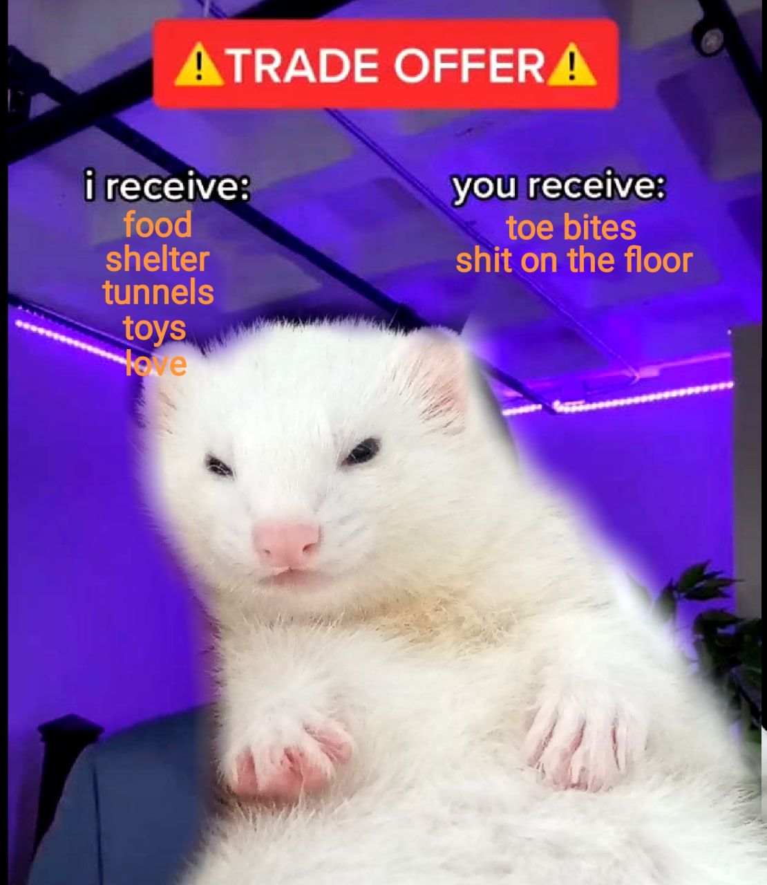 cute tho