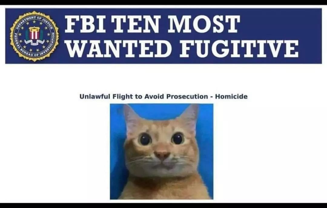 ***