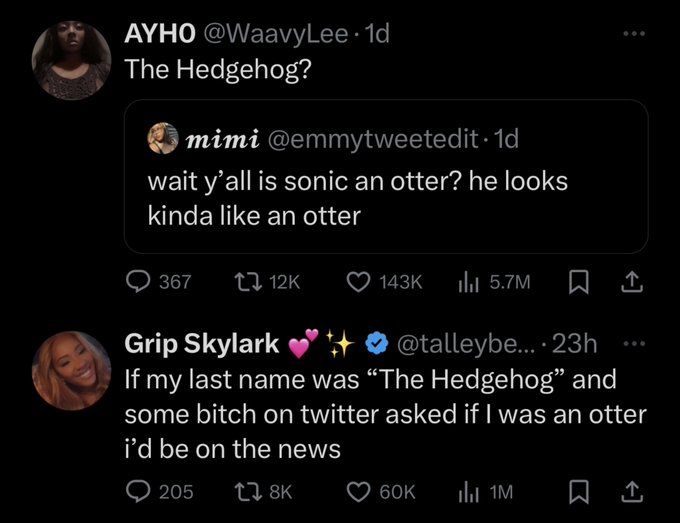 Shadow the Hedgehog is a ***ass mothafcker