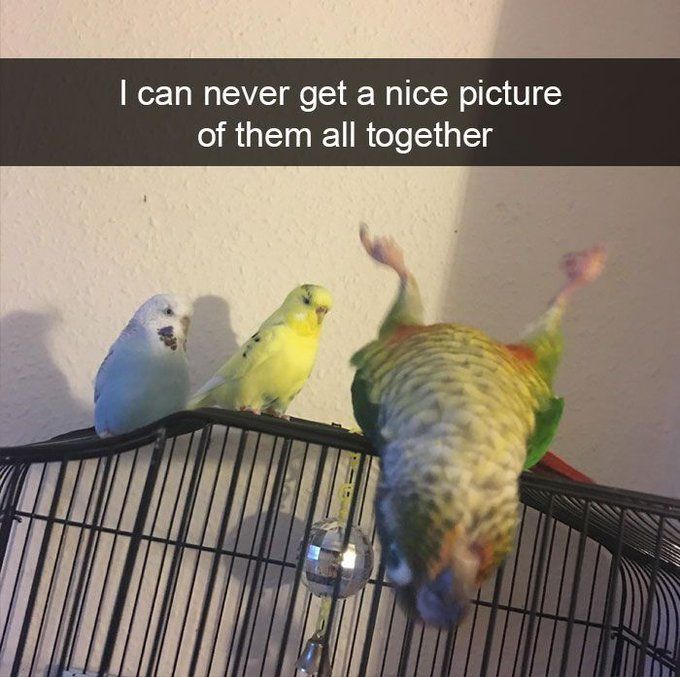 I bet it's him behind the camera
