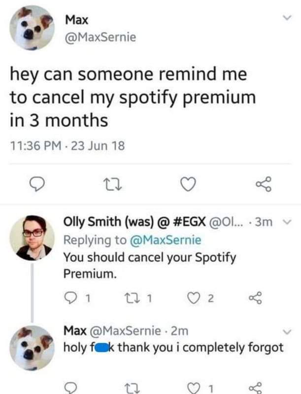 Spot(ify) a bro