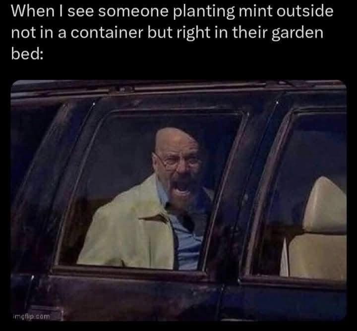 nooooo