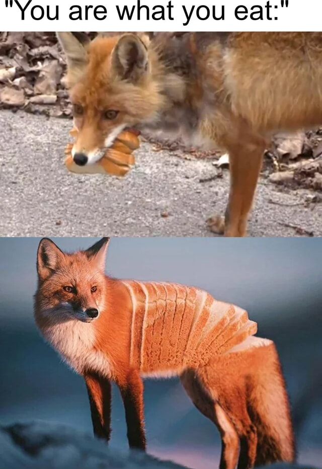 ​​​