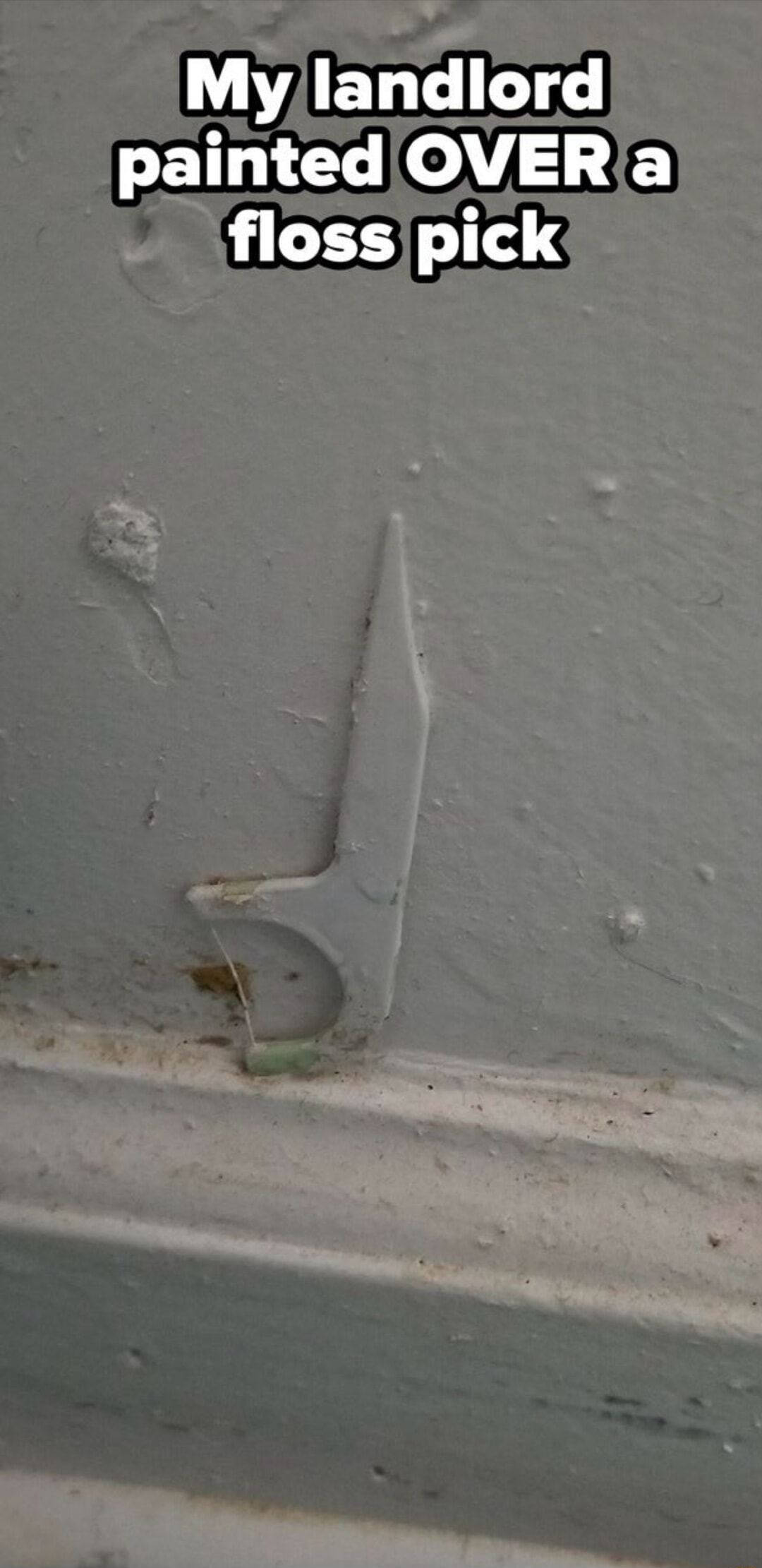 ​​​