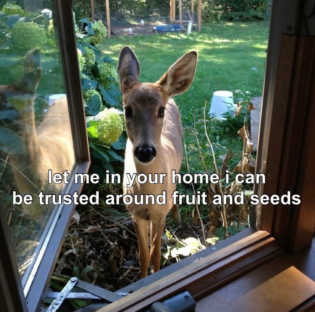 ​​​