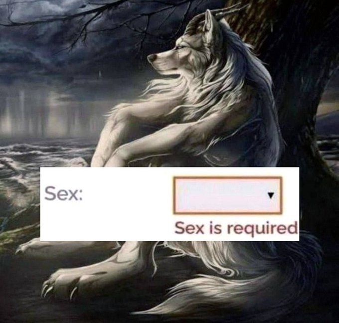 Breh