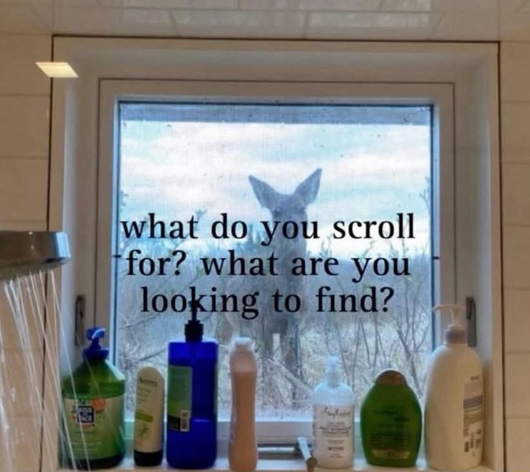 ​​​