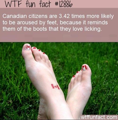 this is true