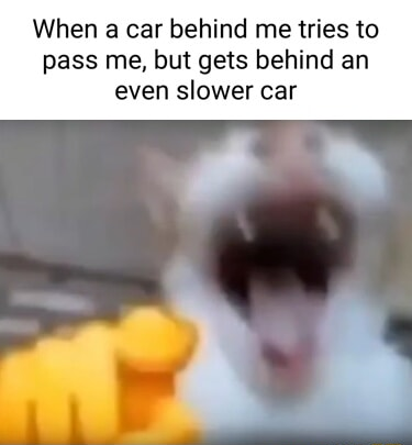 ​​​