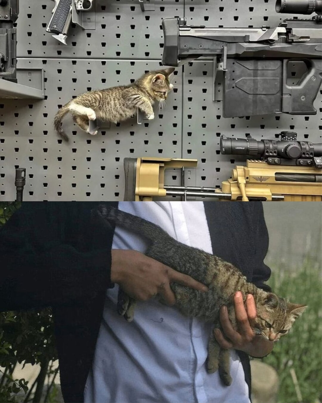 ​​​