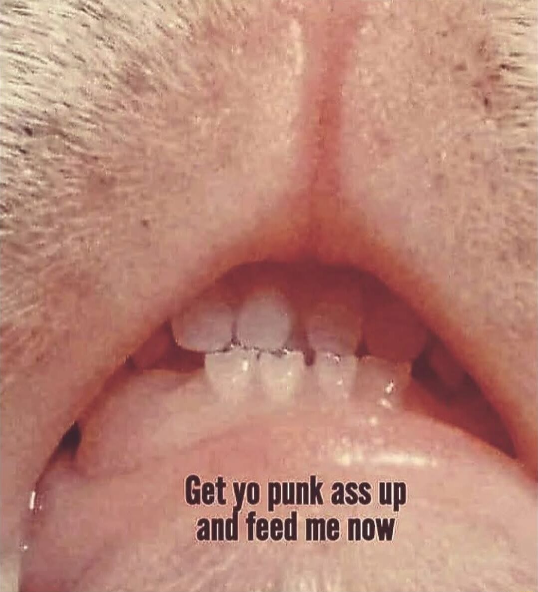 ​​​
