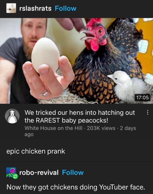 Epic chicken prank