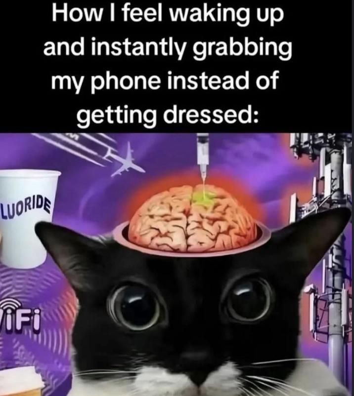 ​​​