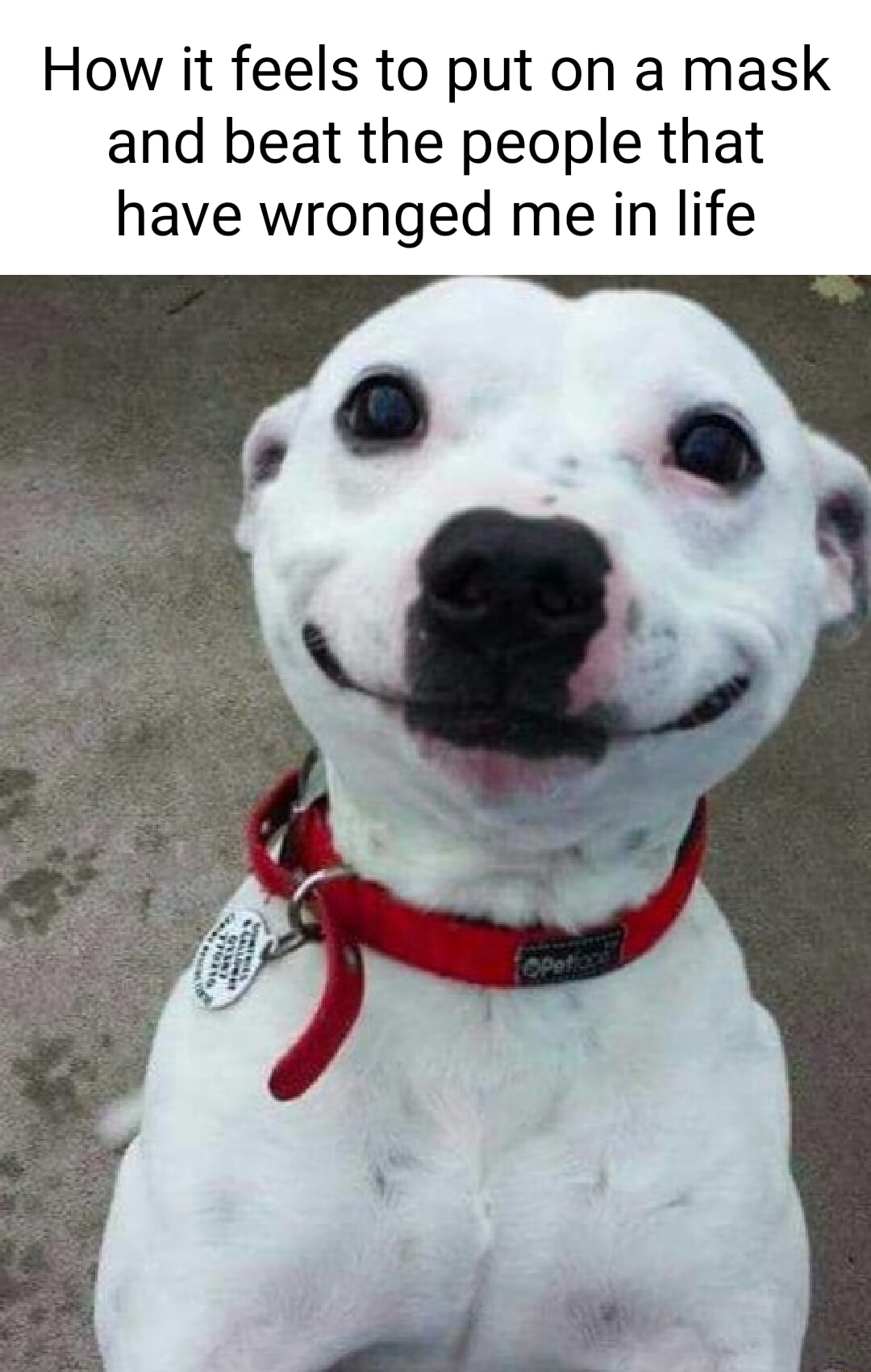 ​​​