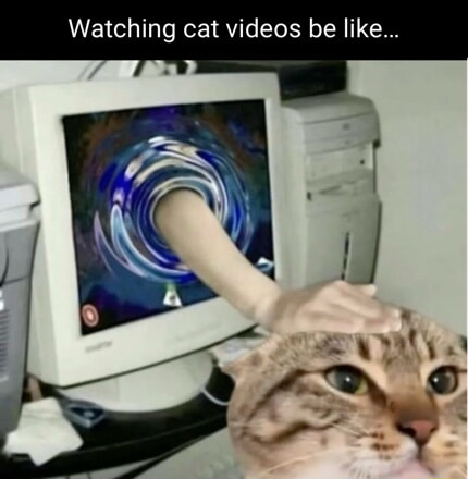 ​​​