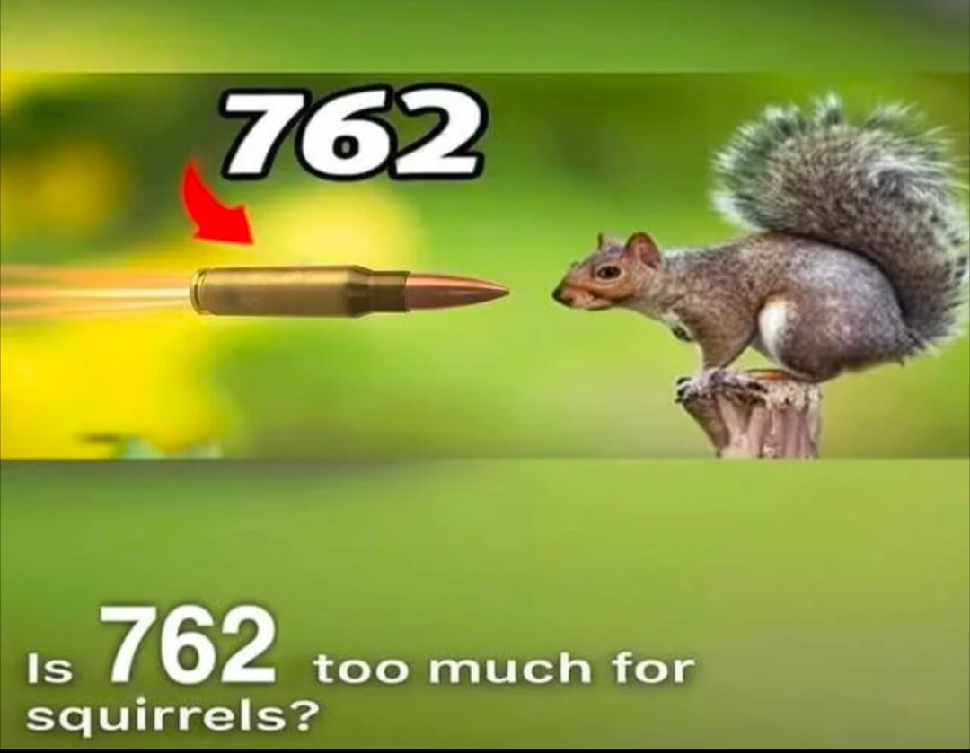 ​​​