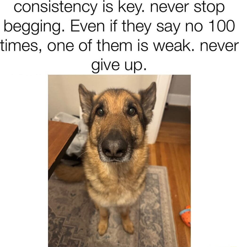 ​​​