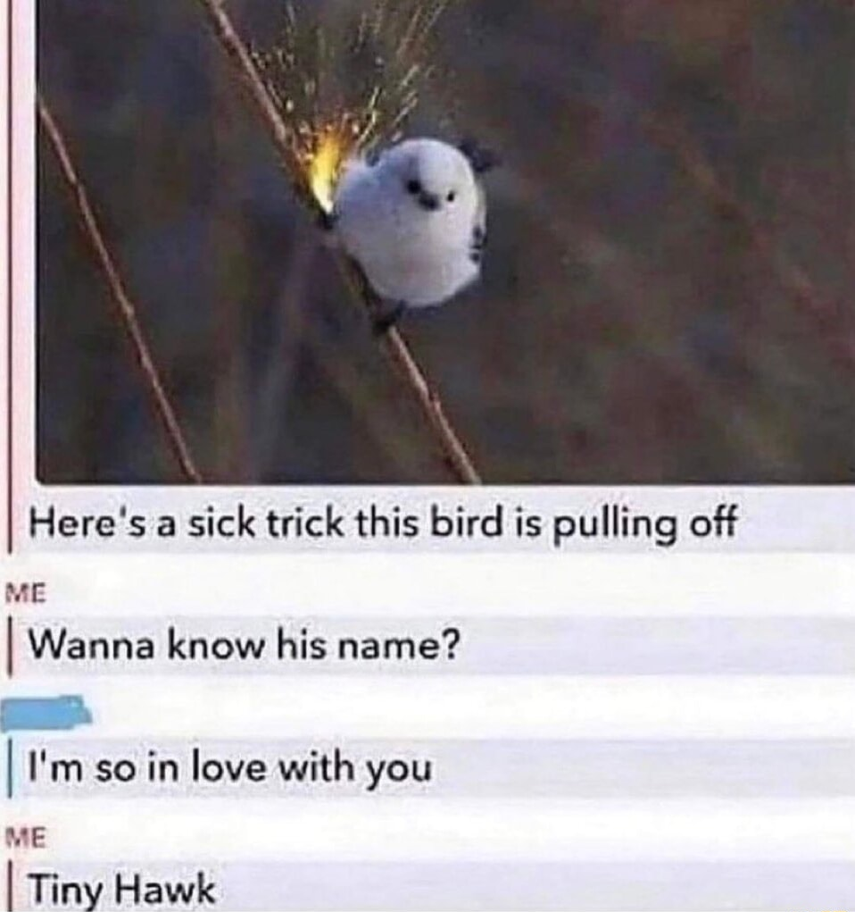 ​​​