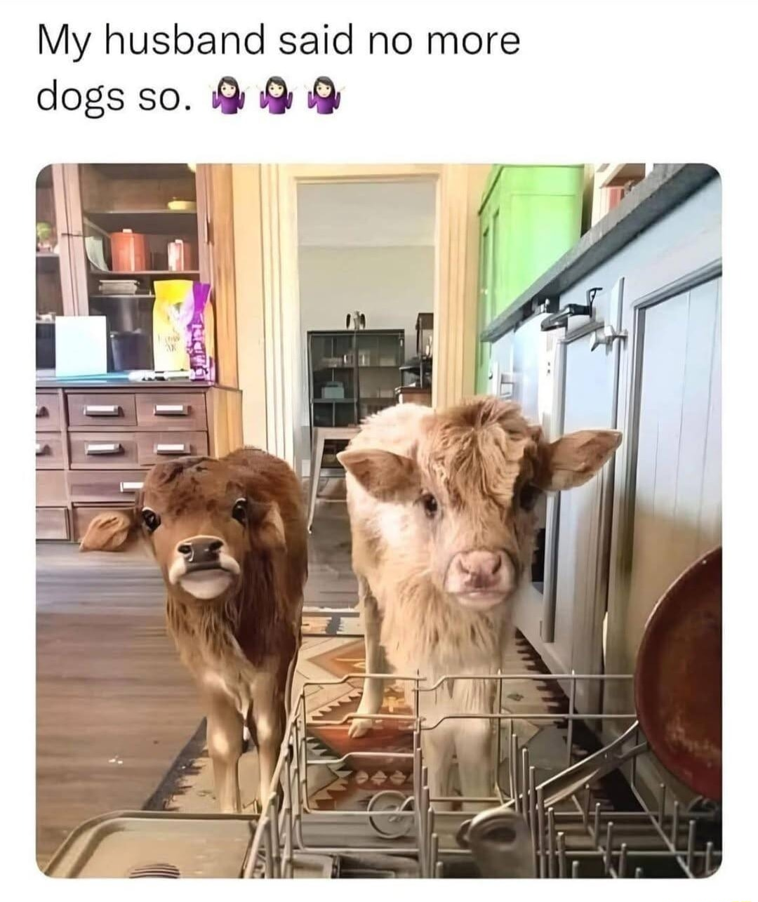 ​​​