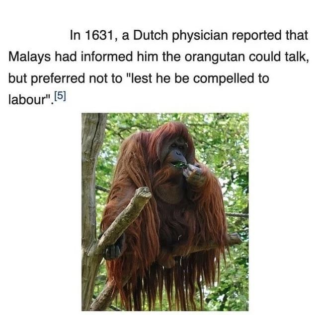 ***
