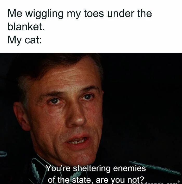 I do