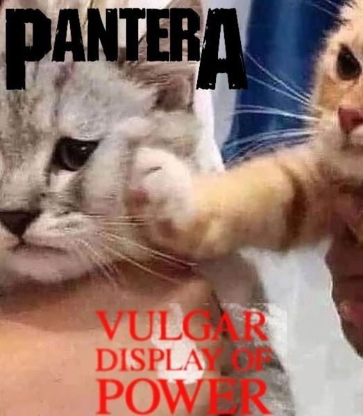 Dudders cover