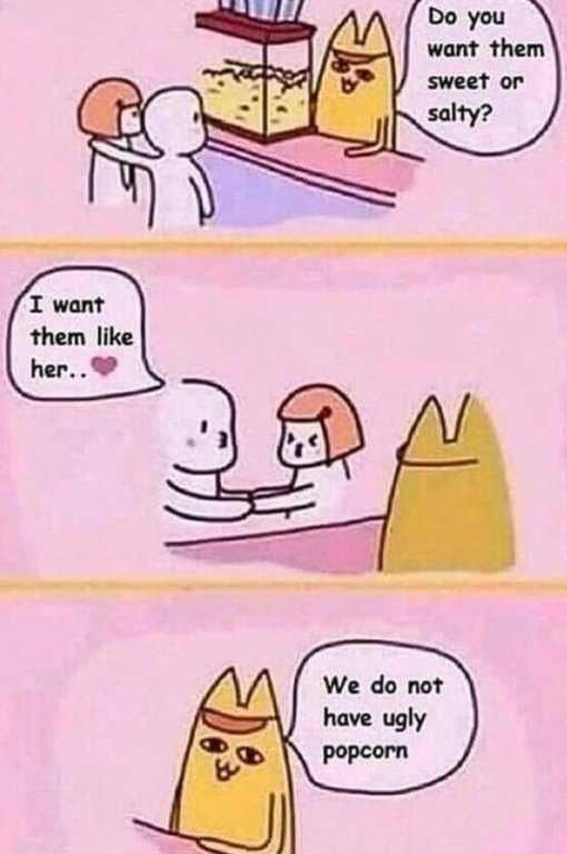 Gato