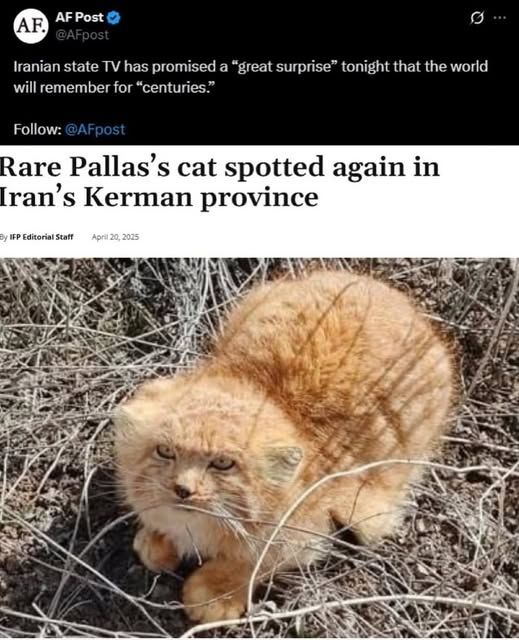 Something actually happened