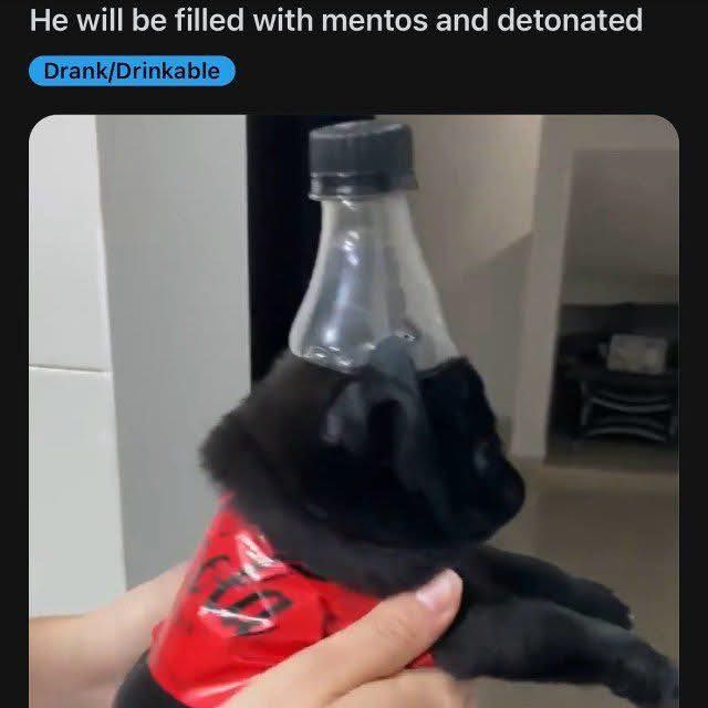 I wonder what mint flavored coke would taste like