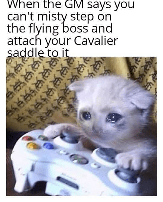 DND meme