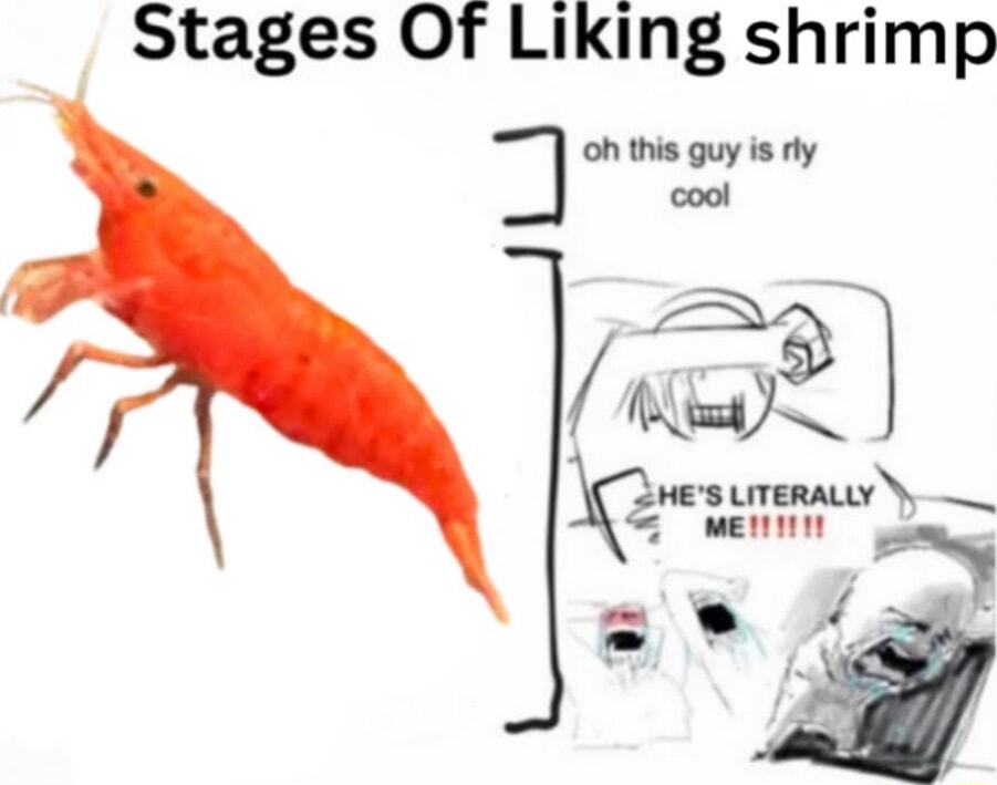 ​​​
