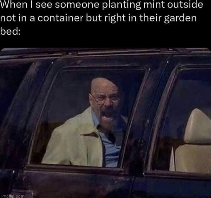 ​​​