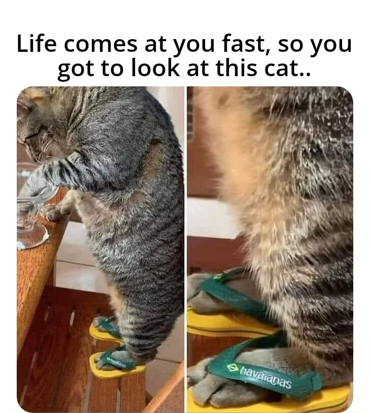 ​​​