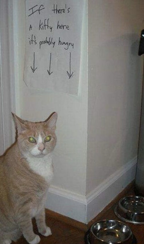 ​​​