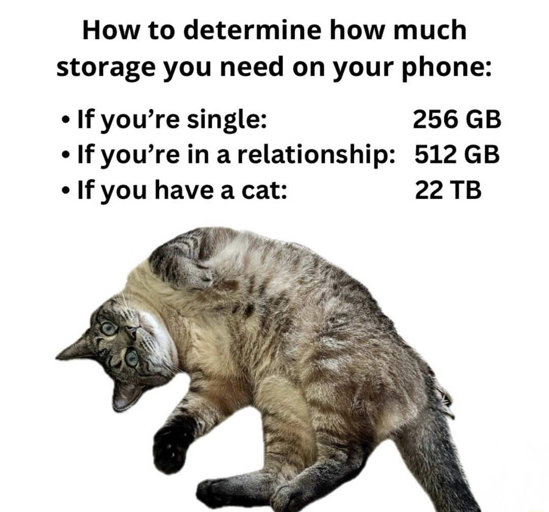 ​​​