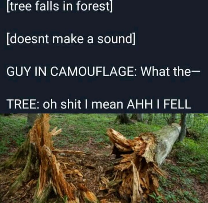 ​​​
